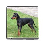 Manchester Terrier Dog Memory Card Reader with Storage (Square)