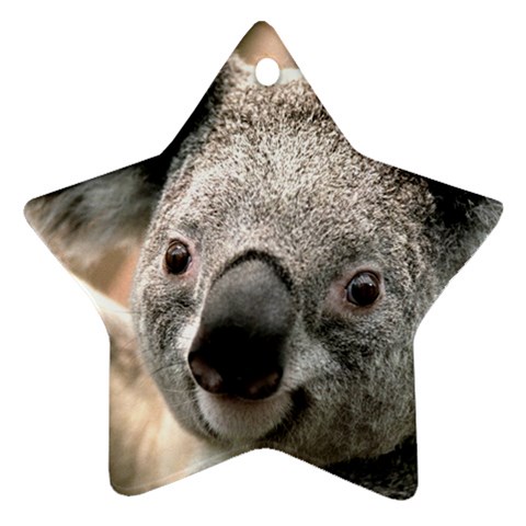 Koala Star Ornament (Two Sides) from ArtsNow.com Front
