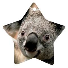Koala Star Ornament (Two Sides) from ArtsNow.com Back