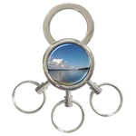 Puget Sound 3-Ring Key Chain