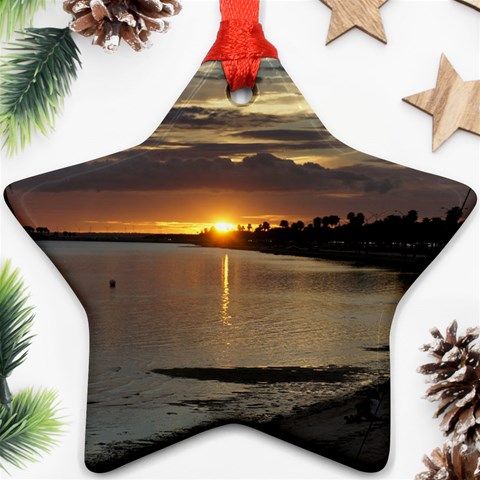 Tampa Ornament (Star) from ArtsNow.com Front