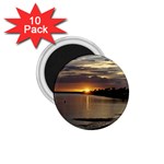 Tampa 1.75  Magnet (10 pack) 