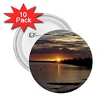 Tampa 2.25  Button (10 pack)