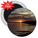 Tampa 3  Magnet (10 pack)