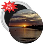 Tampa 3  Magnet (100 pack)