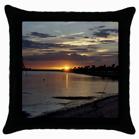 Tampa Throw Pillow Case (Black) from ArtsNow.com Front