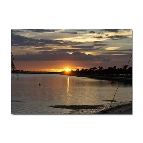 Tampa Sticker A4 (10 pack) from ArtsNow.com Front