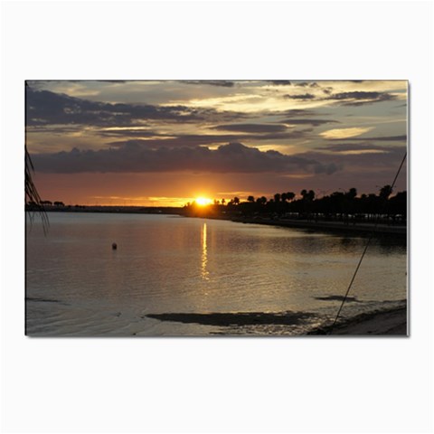 Tampa Postcards 5  x 7  (Pkg of 10) from ArtsNow.com Front