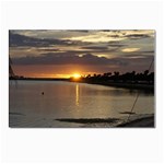 Tampa Postcards 5  x 7  (Pkg of 10)