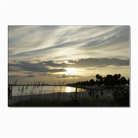 Beach Volleyball Postcard 4 x 6  (Pkg of 10) from ArtsNow.com Front