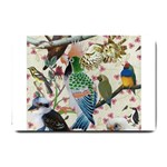 Pretty Birdies Medium Small Doormat