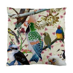 Pretty Birdies Medium Cushion Case (Two Sides) from ArtsNow.com Front