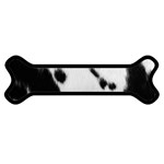 Cow Print	Magnet (Dog Bone)