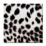 Snow Leopard	 Tile Coaster