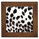 Snow Leopard	 Framed Tile