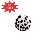 Snow Leopard	 1  Mini Magnet (10 pack)