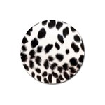 Snow Leopard	 Magnet 3  (Round)