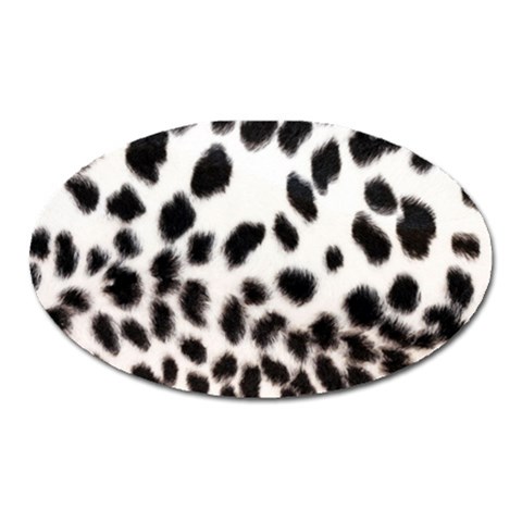 Snow Leopard	 Magnet (Oval) from ArtsNow.com Front