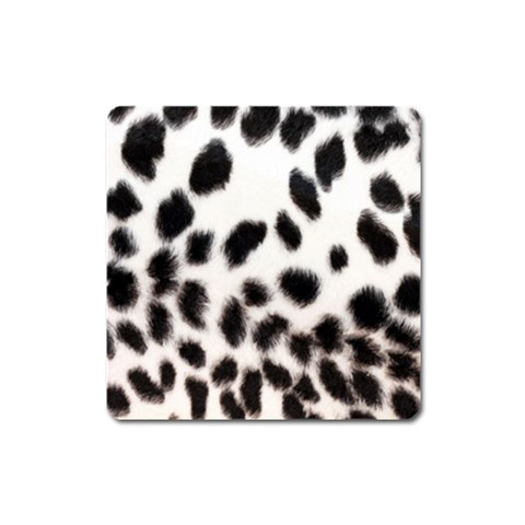 Snow Leopard	 Magnet (Square) from ArtsNow.com Front
