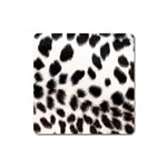 Snow Leopard	 Magnet (Square)