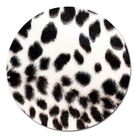 Snow Leopard	 Magnet 5  (Round) from ArtsNow.com Front