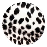 Snow Leopard	 Magnet 5  (Round)