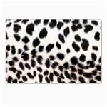 Snow Leopard	 Postcards 5  x 7  (Pkg of 10)