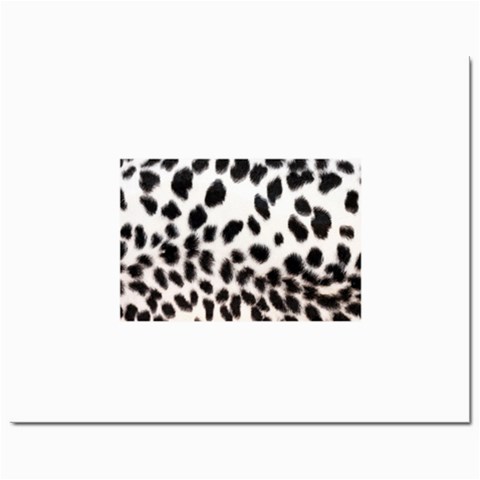 Snow Leopard	Prints 8  x 10  from ArtsNow.com Front