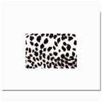 Snow Leopard	Prints 8  x 10 