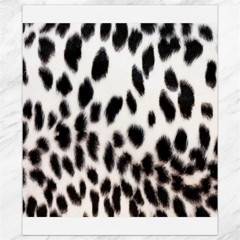 Snow Leopard	Canvas 8  x 10  from ArtsNow.com 8.15 x9.66  Canvas - 1