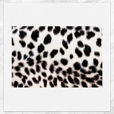 Snow Leopard	Canvas 12  x 12  from ArtsNow.com 11.4 x11.56  Canvas - 1
