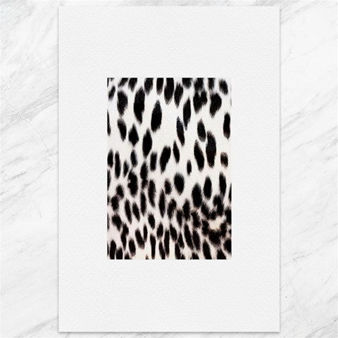 Snow Leopard	Canvas 12  x 18  from ArtsNow.com 11.88 x17.36  Canvas - 1