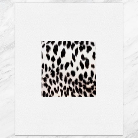Snow Leopard	Canvas 16  x 20  from ArtsNow.com 15.75 x19.29  Canvas - 1