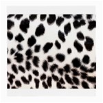 Snow Leopard	 Glasses Cloth (Medium)