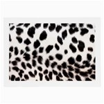 Snow Leopard	 Glasses Cloth (Large