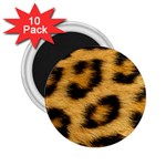 Leopard Print	 2.25  Magnet (10 pack)