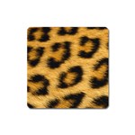 Leopard Print	 Magnet (Square)