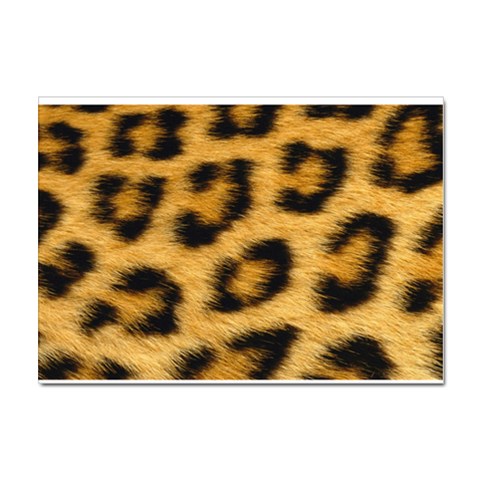 Leopard Print	 Sticker A4 (10 pack) from ArtsNow.com Front