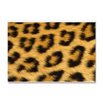 Leopard Print	 Sticker A4 (100 pack)