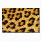 Leopard Print	 Postcard 4 x 6  (Pkg of 10)