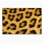 Leopard Print	 Postcards 5  x 7  (Pkg of 10)