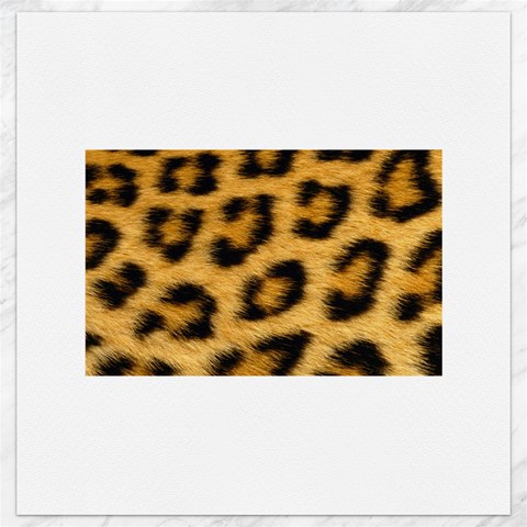 Leopard Print	Canvas 12  x 12  from ArtsNow.com 11.4 x11.56  Canvas - 1