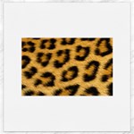 Leopard Print	Canvas 12  x 12 