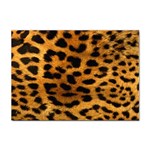 Jaguar Print	 Sticker A4 (10 pack)