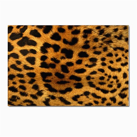 Jaguar Print	 Postcards 5  x 7  (Pkg of 10) from ArtsNow.com Front