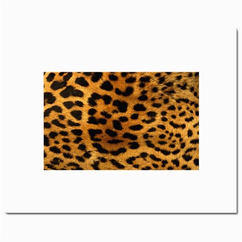 Jaguar Print	Prints 8  x 10  from ArtsNow.com Front