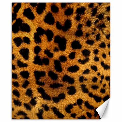 Jaguar Print	Canvas 8  x 10  from ArtsNow.com 8.15 x9.66  Canvas - 1