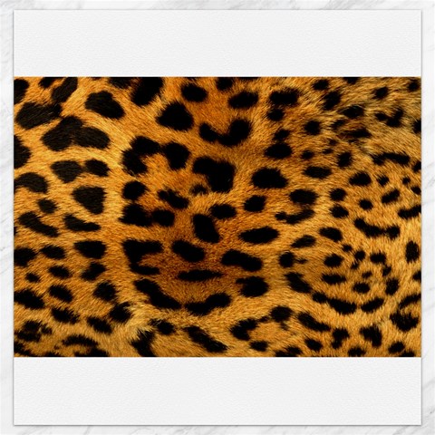 Jaguar Print	Canvas 12  x 12  from ArtsNow.com 11.4 x11.56  Canvas - 1