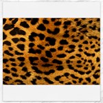 Jaguar Print	Canvas 12  x 12 