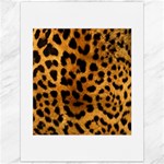 Jaguar Print	Canvas 12  x 16 